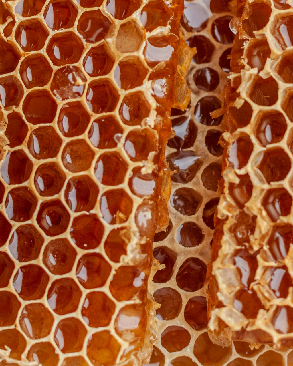 Hunter Valley Raw Honey with Virgin Honeycomb 250g