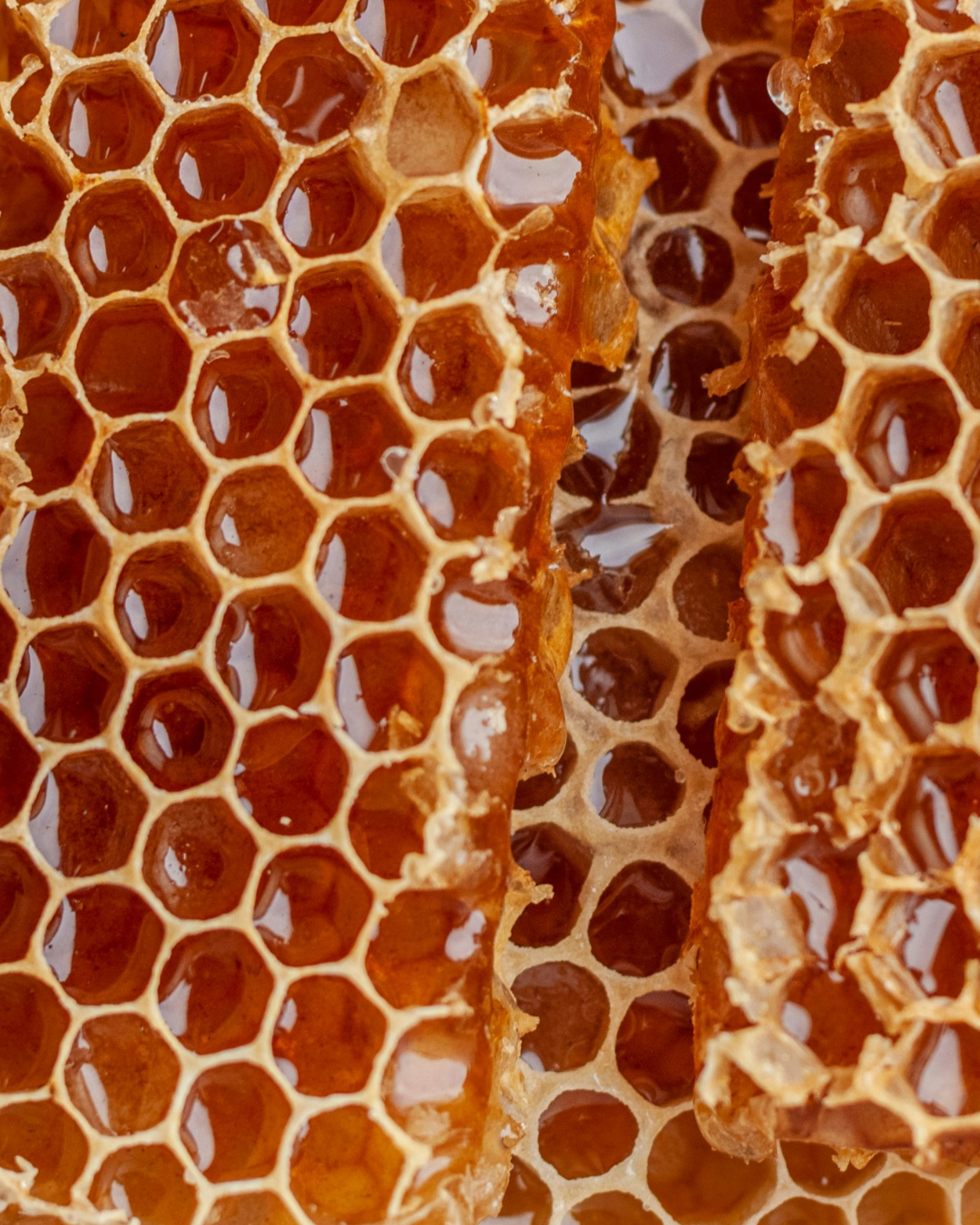 Pokolbin Raw Honey with virgin Honeycomb 300g